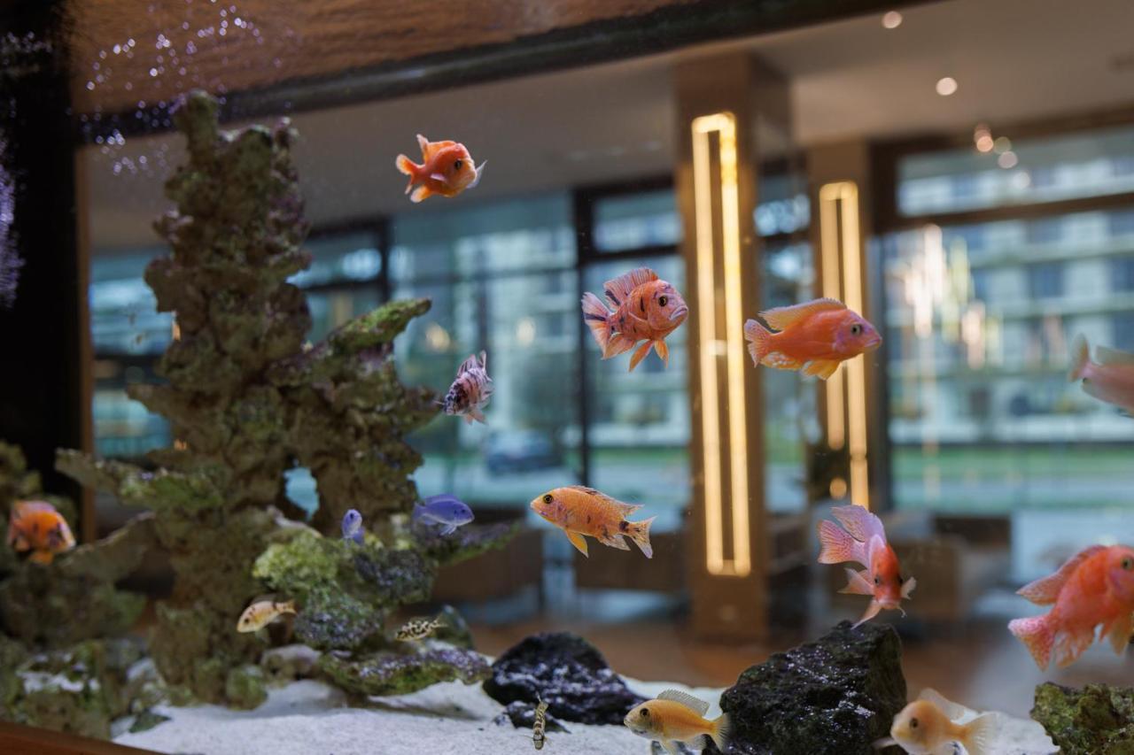 Olymp IV Hotel โควอบเซก ภายนอก รูปภาพ